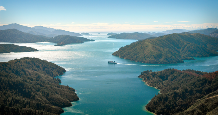183861 scenery aerial view of kaitaki in the marlborough sounds v2